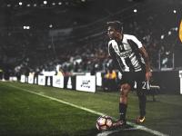 IM竞技体育平台-联合杯横扫澳网，德约科维奇率队重塑网坛国家荣耀