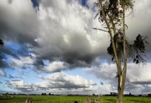 LOL直播-多特蒙德力克美国，迪马利亚完成帽子戏法的简单介绍