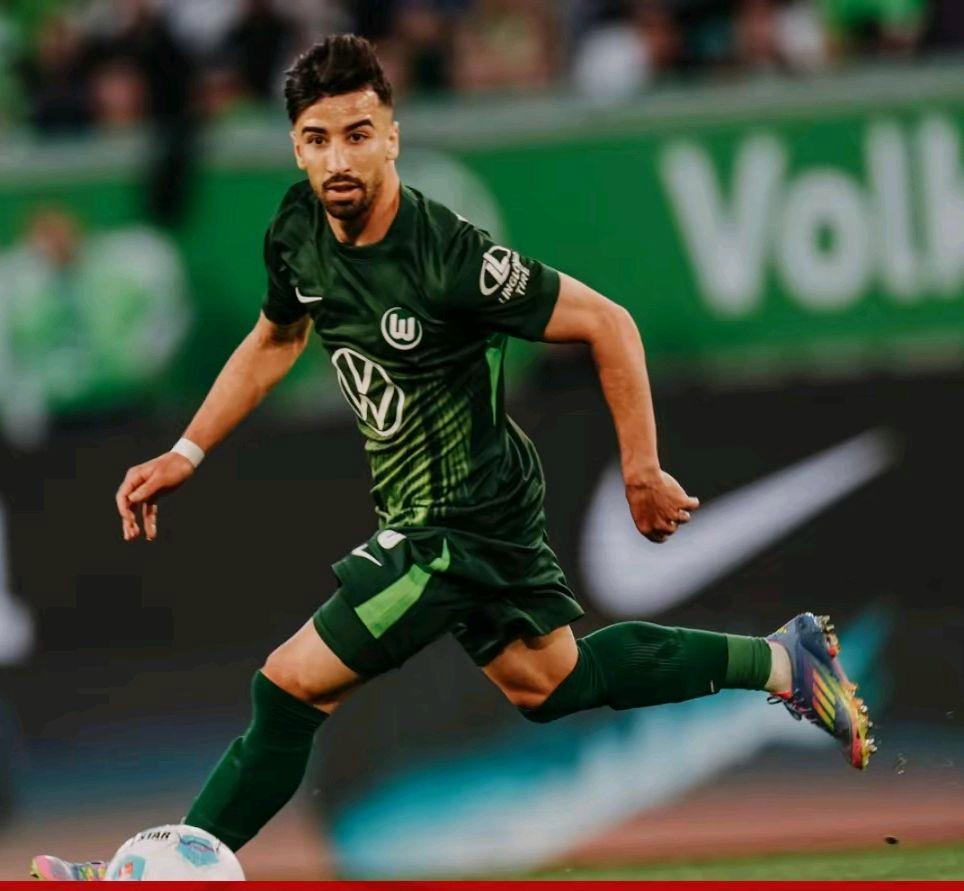 霍芬海姆主场击败沙尔克，取得胜利