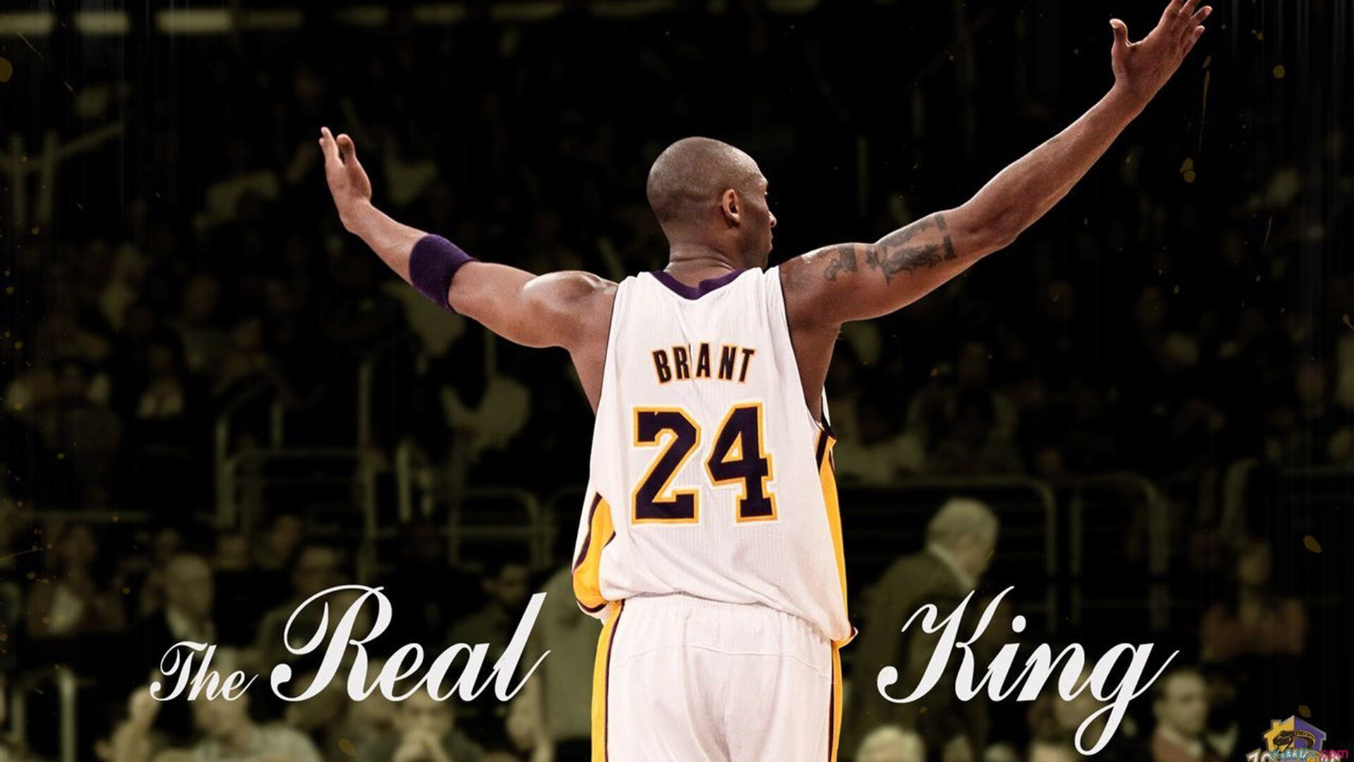 赛道上的孤胆英雄，诺里斯扛起全队，阿斯顿马丁鏖战哈斯车队